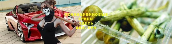 бутират Алексин