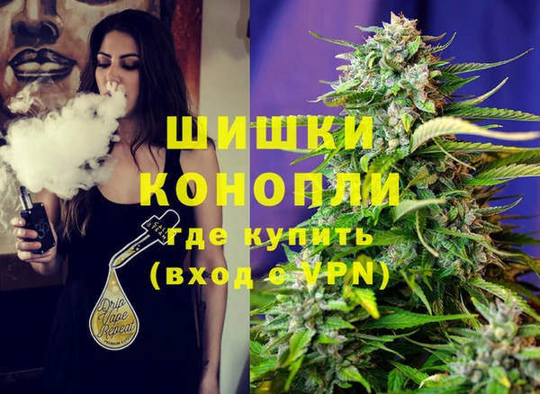 гашик Алексеевка