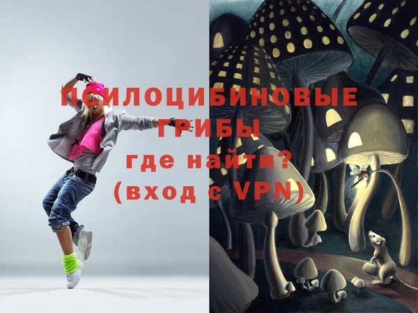 спайс Алзамай