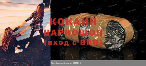 гашик Алексеевка
