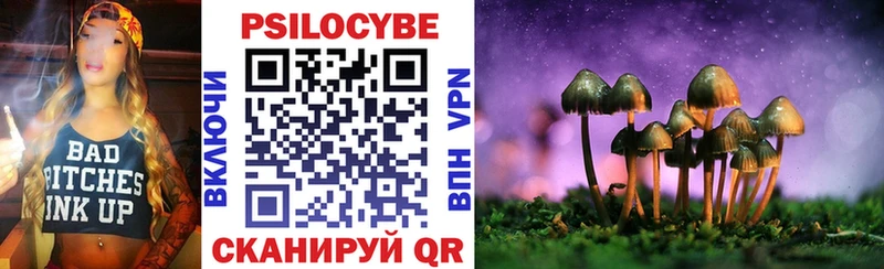 OMG ссылка  цена   Бежецк  Псилоцибиновые грибы мицелий 
