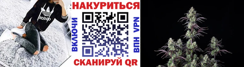 mega онион  сколько стоит  Бежецк  мориарти формула  Бошки Шишки OG Kush 